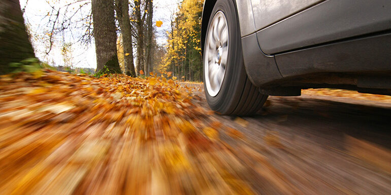 Car Driving on a road with fall leaves